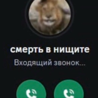 Telegram profile photo for CEO | SCALP