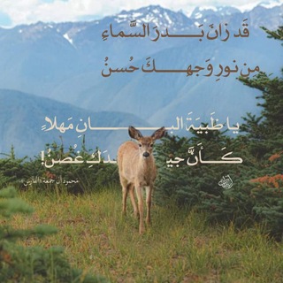 Telegram profile photo for أُمْلـودٌ.🌿
