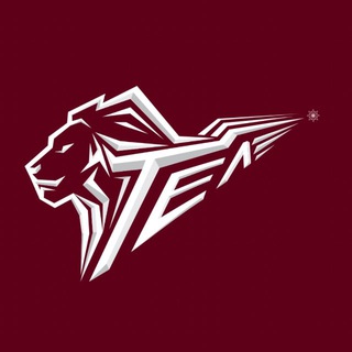 Telegram profile photo for «ТЕЛ» АЛАНЫ
