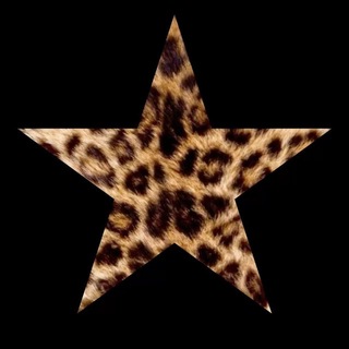 Telegram profile photo for glamourr!