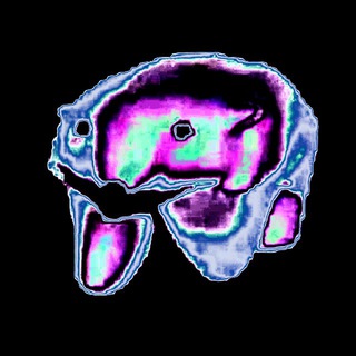 Telegram profile photo for ЕВДОКИМск 🫡