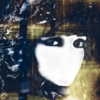 Telegram profile photo for Radiation