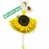 Telegram profile photo for فروش انلاین و اینترنتی گلها🎁👗👠👜🛍🥿🎒👢💄
