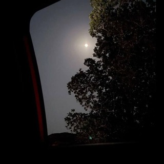 Telegram profile photo for « لُغَةُ القُلُوب »