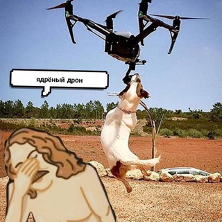 Telegram profile photo for ЯДРЁНЫЙ ДРОН
