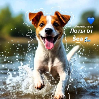 Telegram profile photo for Лоты от sea 🌊