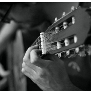 Telegram profile photo for Navid.Music