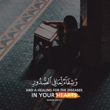 Telegram profile photo for قرآن،اذكار،Quran