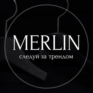 Telegram profile photo for MERLIN К Б 2А-22