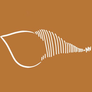 Telegram profile photo for Sangu.mv