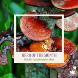 Telegram profile photo for Ganoderma