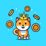 Telegram profile photo for Captain Kishu FOMO