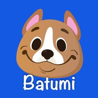 Telegram profile photo for Батуми аренда квартир | Domiko