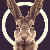 Telegram profile photo for Clawdore's Commission Update Channel