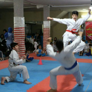 Telegram profile photo for کاتا پایه اصلی کاراتهkarate