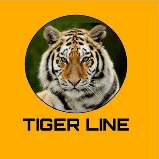 Telegram profile photo for TIGER CRICKET FAST WBT LINE