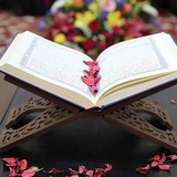Telegram profile photo for القرآن الكريم 313
