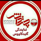 Telegram profile photo for چتردانش_شرق گلستان