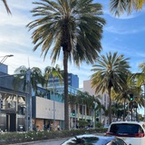 Telegram profile photo for GND | CAR PARKING