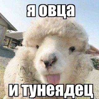 Telegram profile photo for катушка