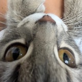 Telegram profile photo for отзывы от мифки