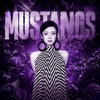 Telegram profile photo for Mustangs