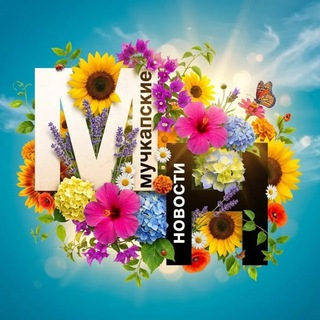 Telegram profile photo for Мучкапские новости
