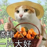 Telegram profile photo for лимонний джем
