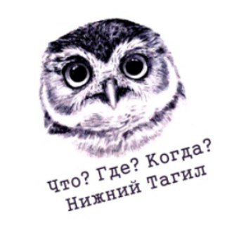 Telegram profile photo for Chgknt