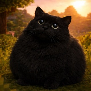 Telegram profile photo for Fallen29 | BNG
