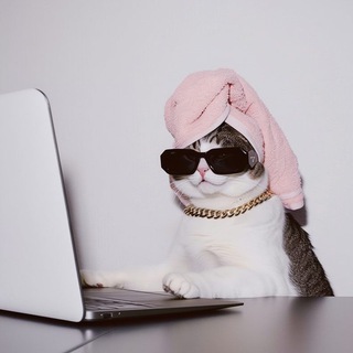 Telegram profile photo for это тоже работа