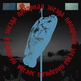 Telegram profile photo for полярная звезда