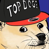 Telegram profile photo for TopDoge