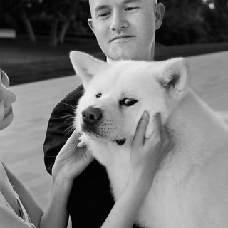 Telegram profile photo for Brian Armstrong's Dog - $COOPER