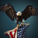 Telegram profile photo for PEACEFUL🇺🇲PATRIOT