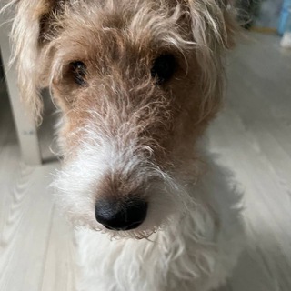 Telegram profile photo for переезд ААААвВЧ