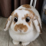Telegram profile photo for инфо крутого бога дрогена