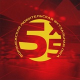 Telegram profile photo for ВЛДФ | Воронежская любительская футзальная Лига