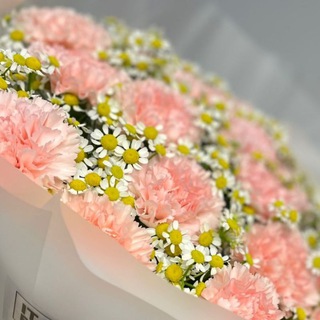 Telegram profile photo for 🌸Italian flowers 🌸