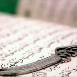 Telegram profile photo for شبكه الامام علي "ع"
