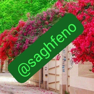 Telegram profile photo for saghfeno🏠