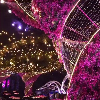 Telegram profile photo for Central_RE/EB Flowers 💐 የዲኮር እቃዎች አቅራቢ