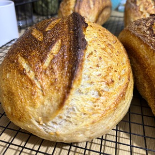 Telegram profile photo for Sourdough Bread Stalker