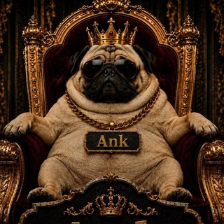 Telegram profile photo for Приписка AnkRovs