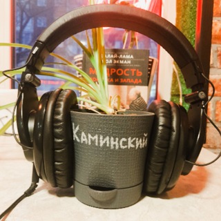 Telegram profile photo for Диктор Алексей Каминский