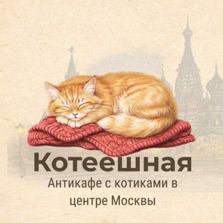 Telegram profile photo for Котеешная - Котокафе-антикафе