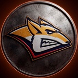 Telegram profile photo for Хк Металлург Магнитогорск