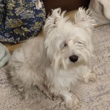 Telegram profile photo for малина рест