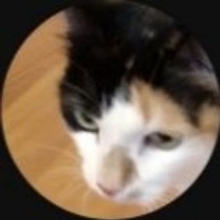 Telegram profile photo for Даниил (Denfed09)