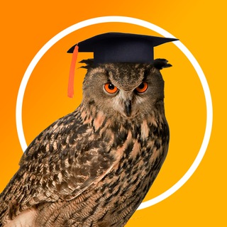 Telegram profile photo for Школьный учебник- учителям, педагогам